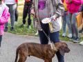 082-IMG_8626