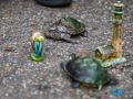 128-IMG_8708