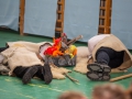 033 - IMG_7498