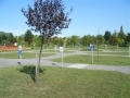 DSCF8049