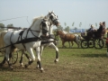 dsc07736