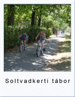 soltcad