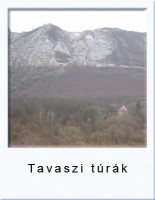 tavasziturak