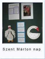 martonanp15