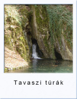 tavasziturak16