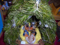 DSC02644