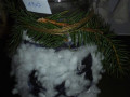 DSC02645