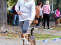 004-IMG_8495