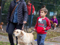 006-IMG_8498