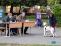 020-IMG_8529