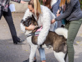 022-IMG_8532