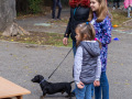 029-IMG_8545