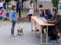 032-IMG_8549