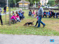 037-IMG_8560