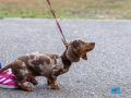 039-IMG_8563