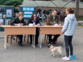 043-IMG_8569
