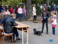 046-IMG_8573