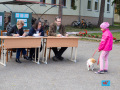 056-IMG_8587