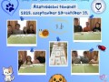témahét6