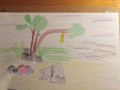 IMG_20200519_210405