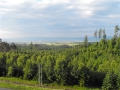 DSCF5415