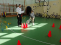 IMG_20230331_142609