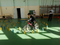 IMG_20230331_143606