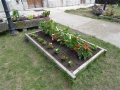 P1090051