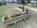 P1090054