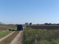 b3