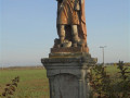 DSC00911
